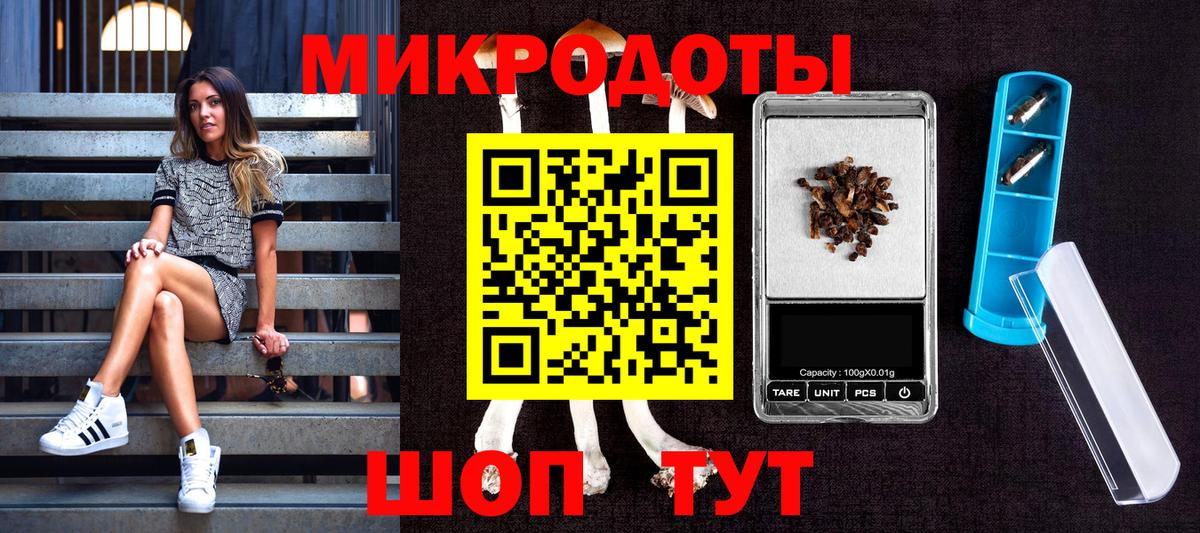 Знаменск  Псилоцибиновые грибы Cubensis  Вход с VPN 