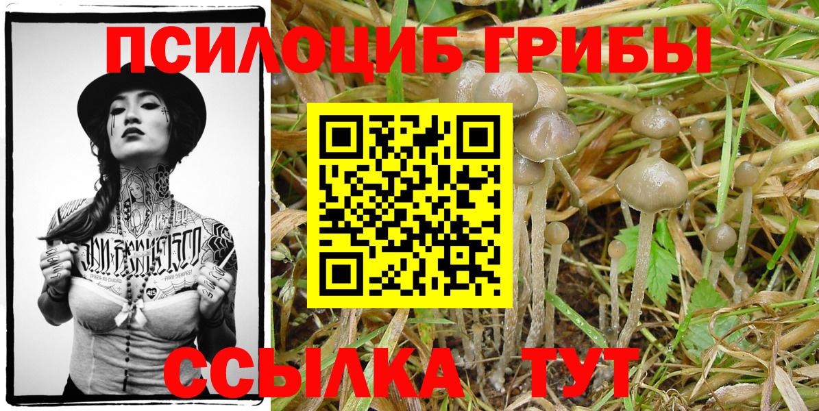 Галлюциногенные грибы Magic Shrooms Знаменск